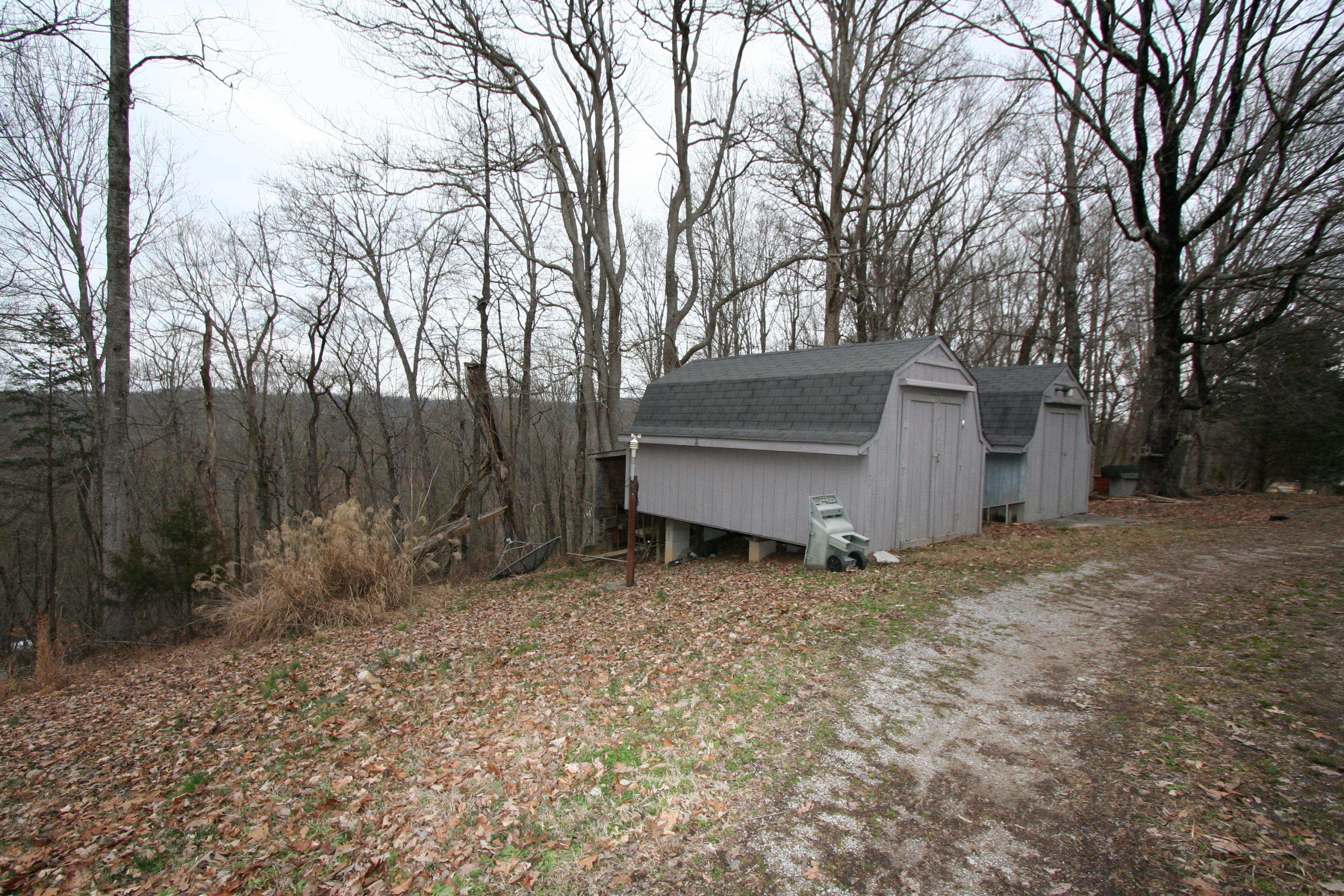 499 Wallace Road Luttrell, TN 37779 - Photo 10 of 34 Driveway & 2 Sheds