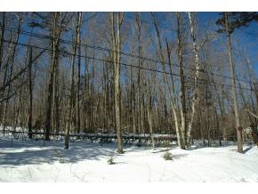 47 Johnson Hill Road West Dover, VT 05356 - Photo 1 of 4