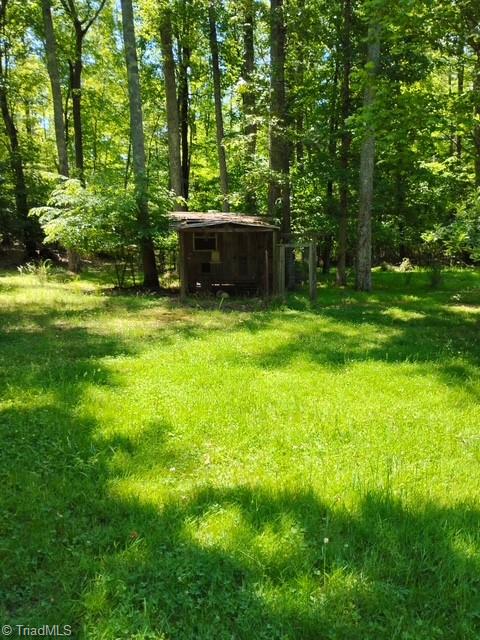 2285 Locust Grove Road Westfield, NC 27053 - Photo 29 of 32 YARD/GARDEN