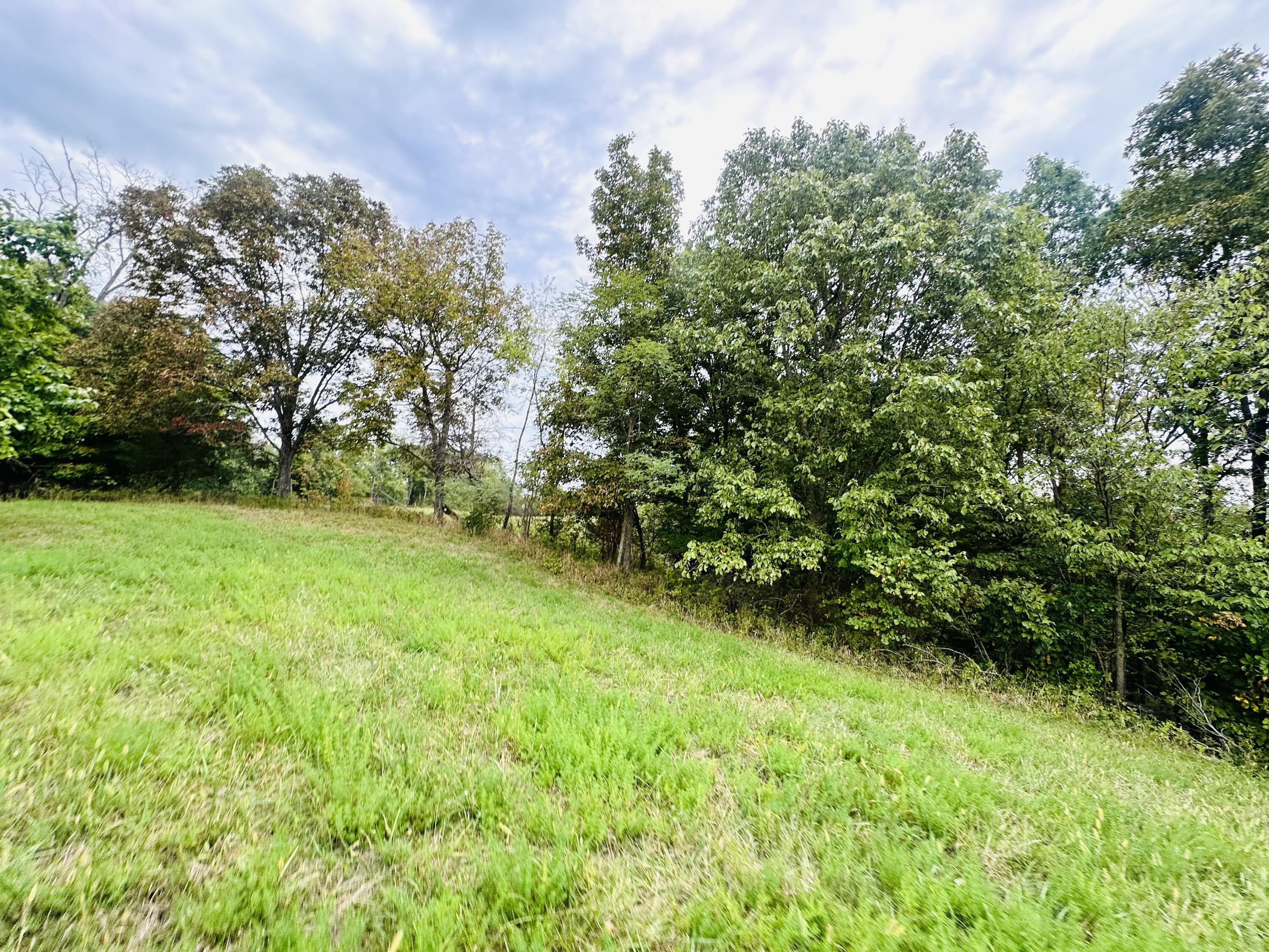 203 Chaplin Road Willisburg, KY 40078 - Photo 71 of 77 IMG_8310