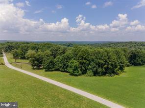 a view of a garden with a building in the background