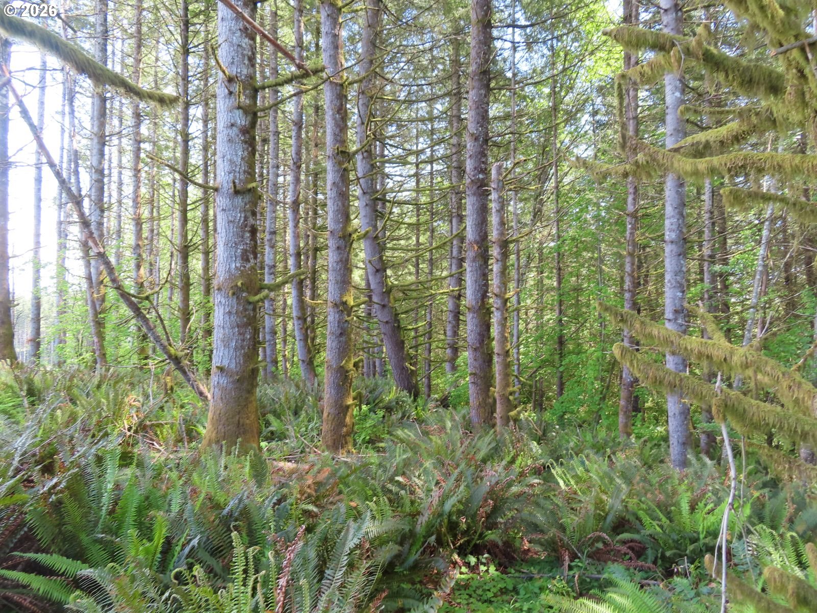 Hockett Road Onalaska, WA 98570 - Photo 12 of 29