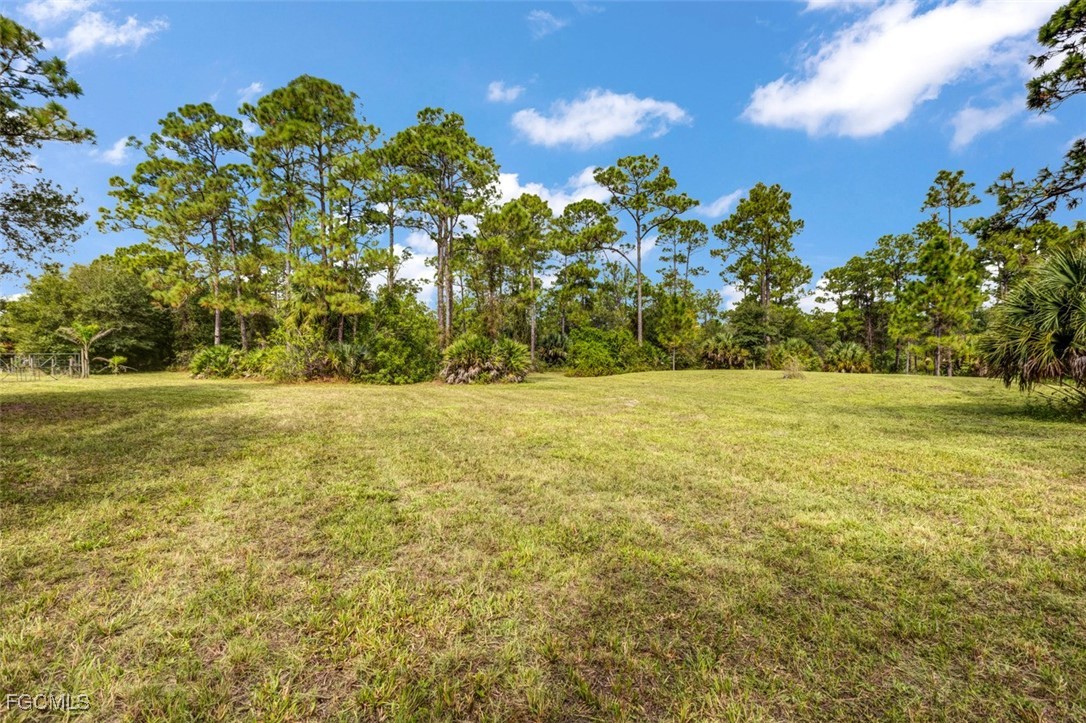 2201 Riviera Avenue Clewiston, FL 33440 - Photo 14 of 31 a view of a yard with a tree
