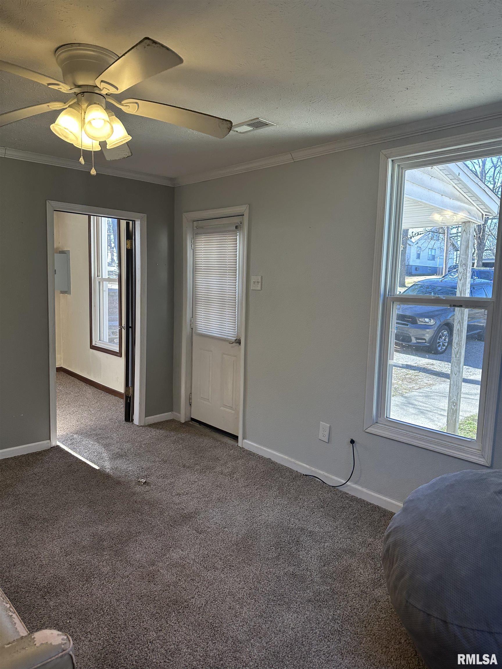 408 North Main Street Anna, IL 62906 - Photo 2 of 14