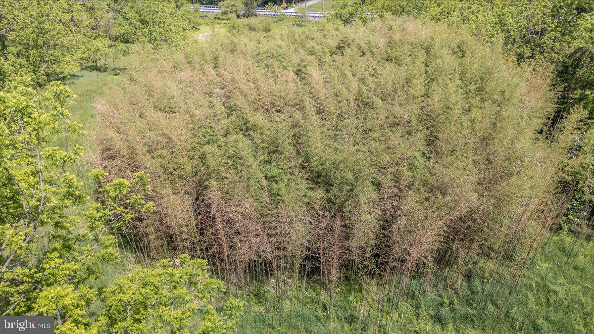2607 John Owings Road Westminster, MD 21158 - Photo 13 of 32 Gallery Image 13