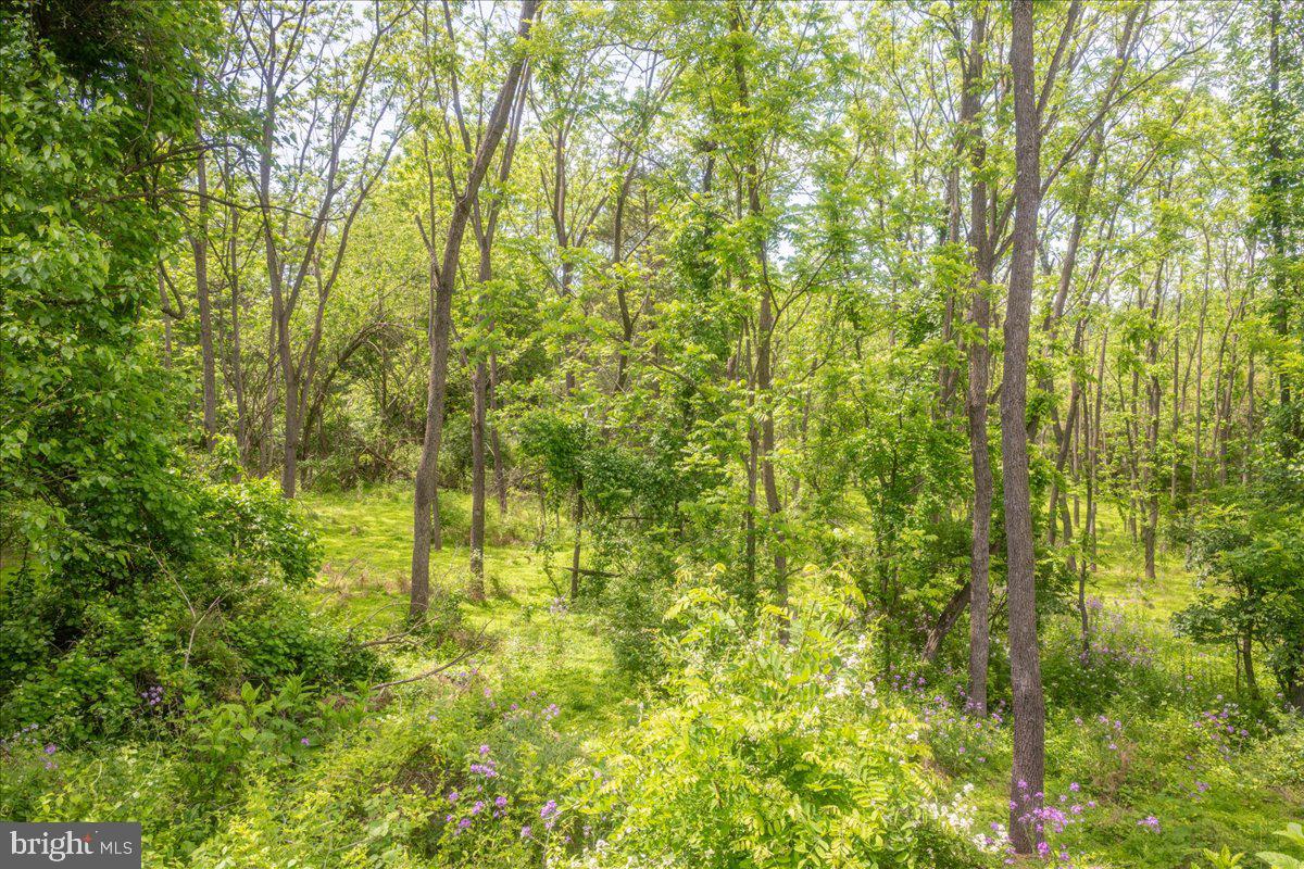 2607 John Owings Road Westminster, MD 21158 - Photo 28 of 32 Gallery Image 28