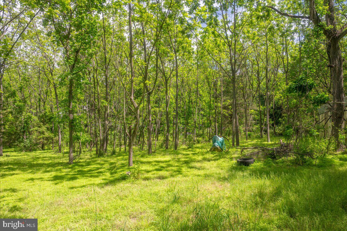 2607 John Owings Road Westminster, MD 21158 - Photo 32 of 32 Gallery Image 32