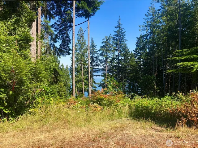 a view of outdoor space and trees all around