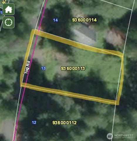 a view of a forest with a tree