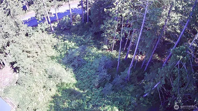 a view of a bunch of flowers and trees