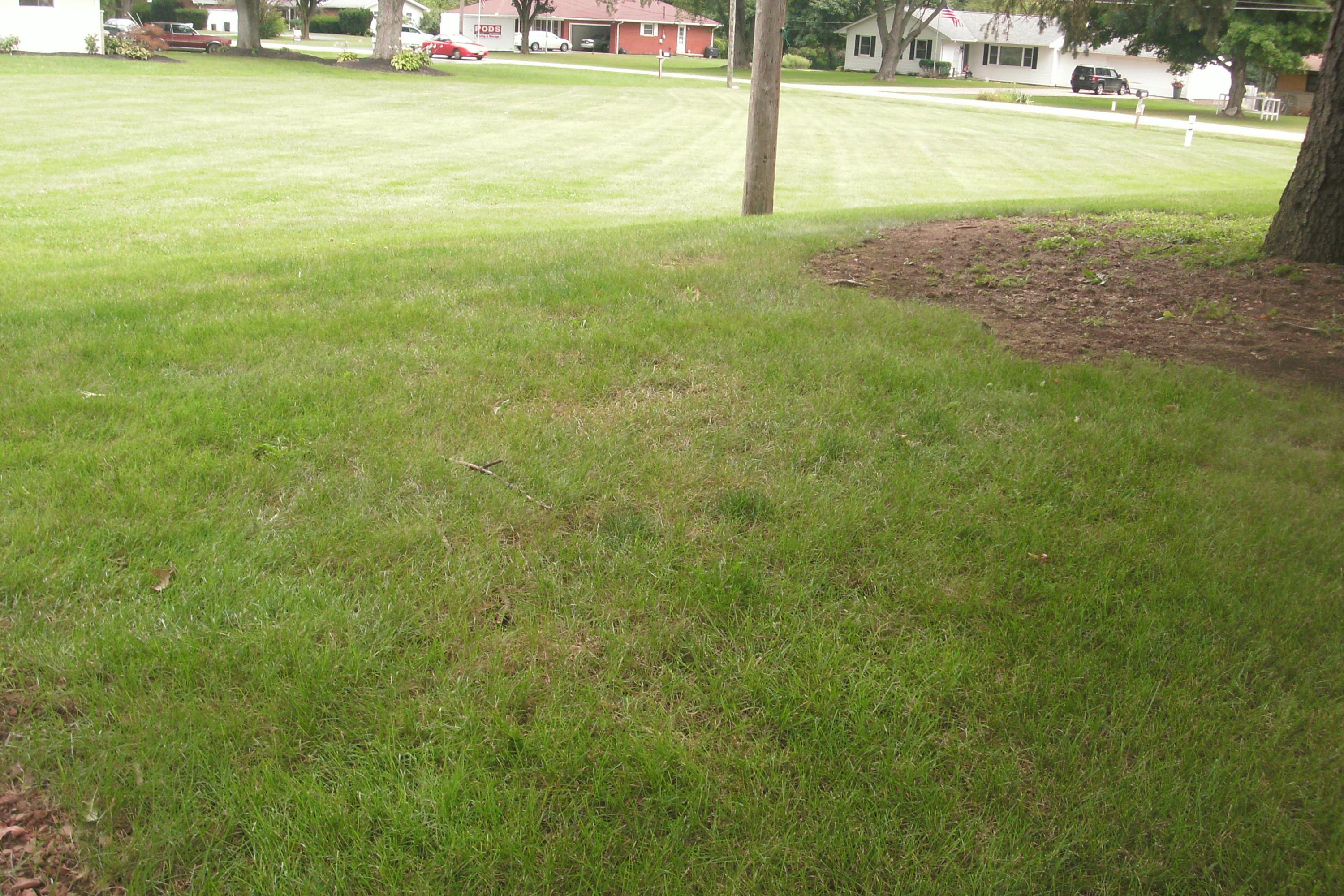 2777 Kunz Road Galloway, OH 43119 - Photo 13 of 23
