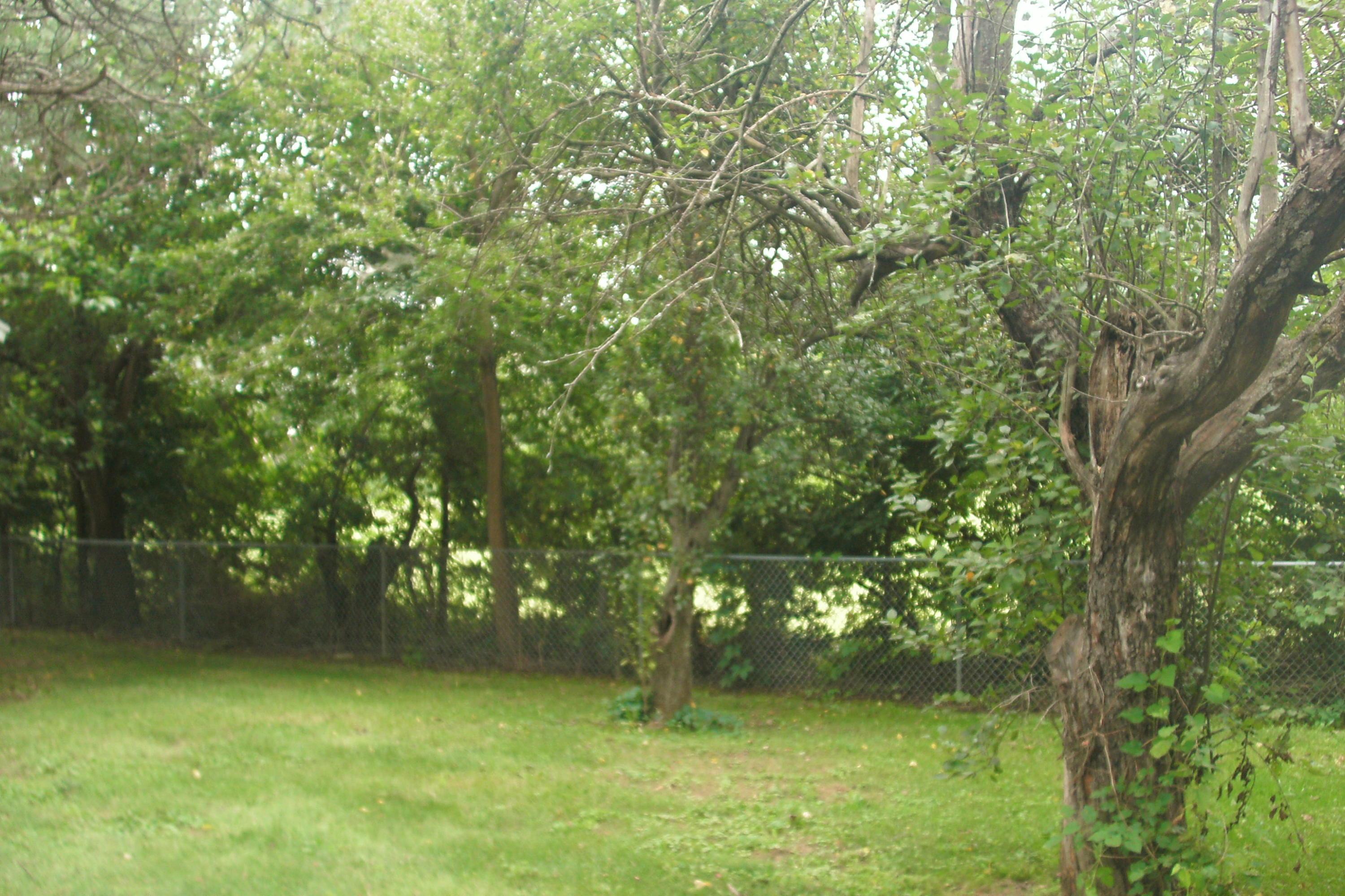 2777 Kunz Road Galloway, OH 43119 - Photo 14 of 23