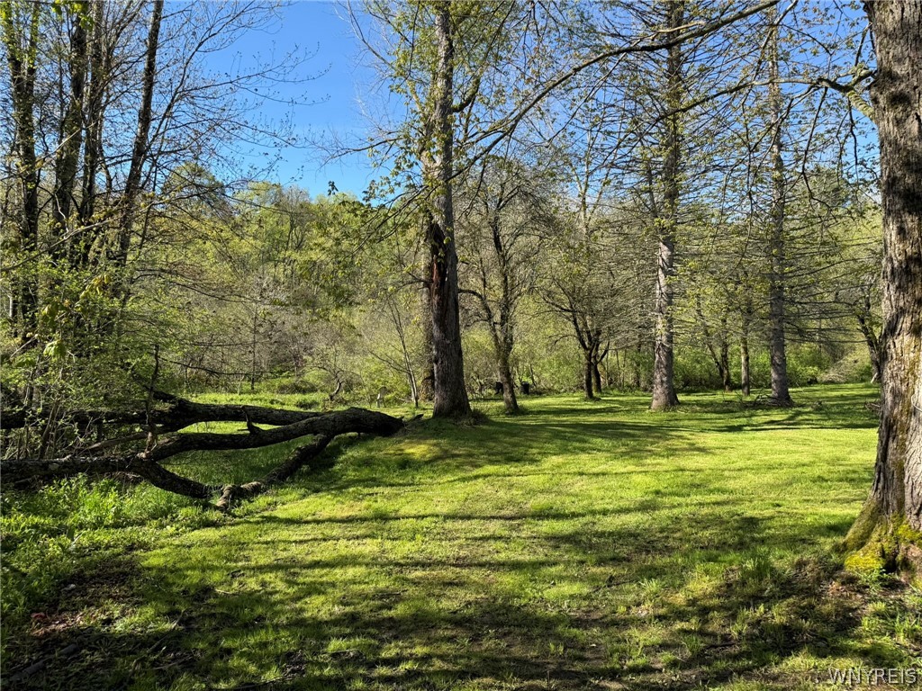3137 Bear Creek Road Machias, NY 14737 - Photo 26 of 50