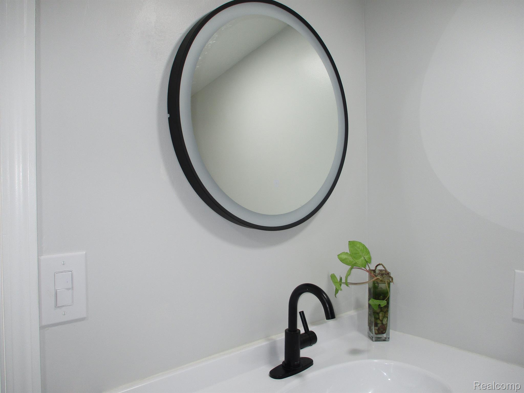 42360 Willow Road New Boston, MI 48164 - Photo 26 of 49 Lighted bathroom mirror