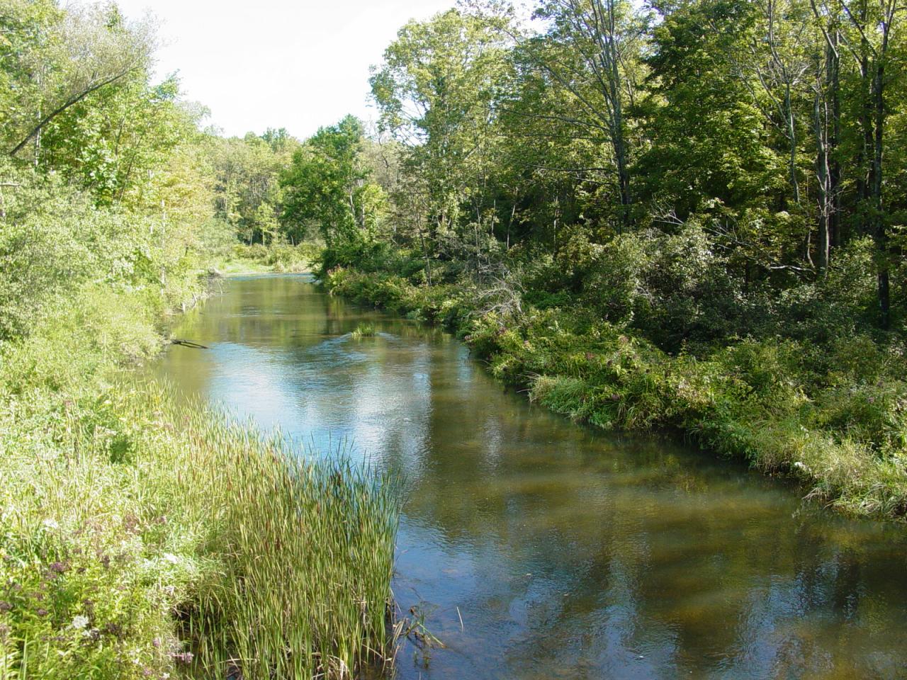 0 Great Barrington Road Housatonic, MA 01236 - Photo 1 of 5 Willams River Frontage