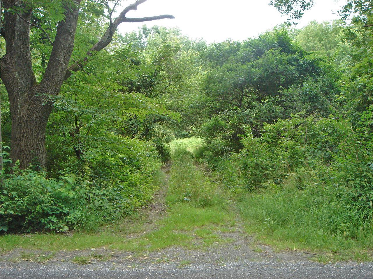 0 Great Barrington Road Housatonic, MA 01236 - Photo 2 of 5 Path Into Land Along Pixley Hill Road