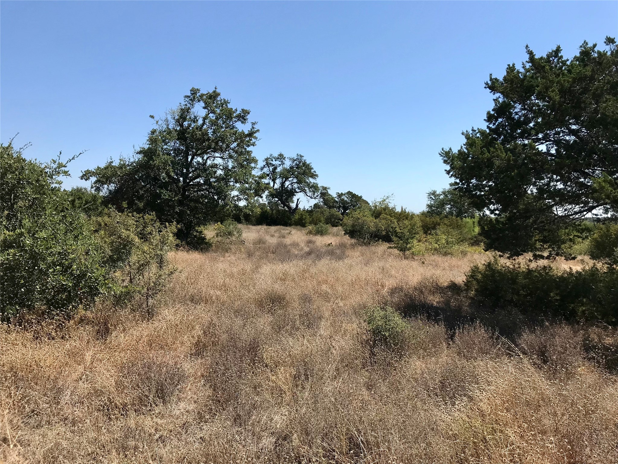 970 B Rr 32 San Marcos, TX 78666 - Photo 18 of 30 Due to drought conditions the grass is dry. I encourage you not to drive into the property but rather park on the shared access drive and walk in to appreciate the trees and views.