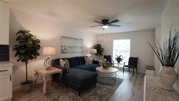 a living room with furniture and a potted plant
