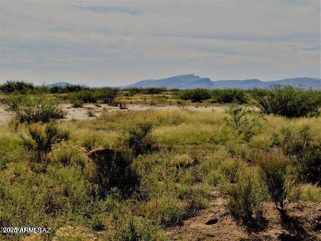 3 Triangle Ranches San Simon, AZ 85632 - Photo 11 of 11 20240116110013905795000000-o