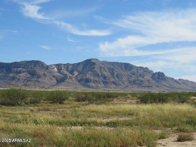 3 Triangle Ranches San Simon, AZ 85632 - Photo 4 of 11 20240116105235355823000000-o