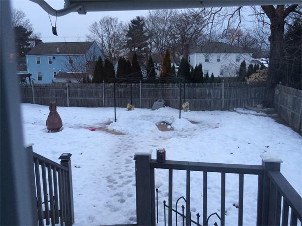 67 Maple Terrace West Springfield, MA 01089 - Photo 23 of 27 Gallery Image 23