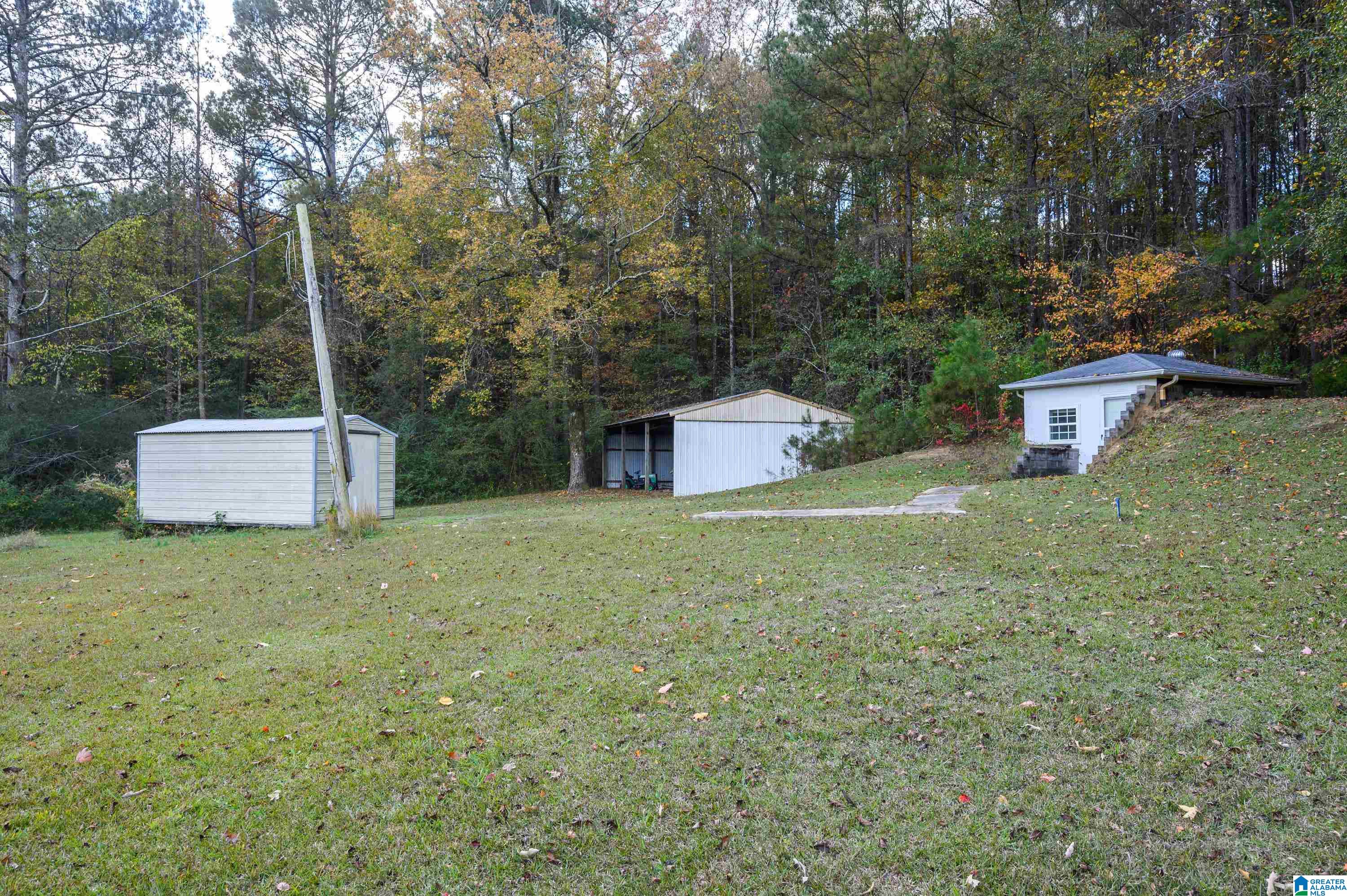 1864 Kelly Loop Road Mount Olive, AL 35117 - Photo 44 of 68