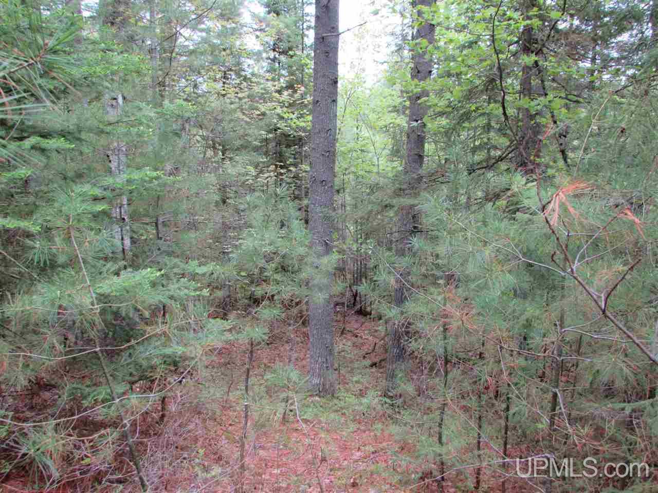 Tbd Sterling Road Wetmore, MI 49895 - Photo 13 of 13