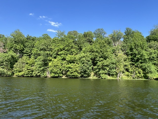Lot 147 Parrish Ridge Goreville, IL 62939 - Photo 3 of 20