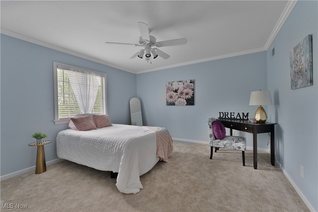 7091 South Raccoon Road Canfield, OH 44406 - Photo 33 of 39 Carpeted bedroom featuring crown molding, baseboards, and ceiling fan