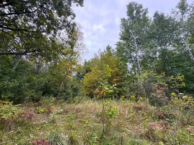 $239,900 | 34-xxx 80ac 34-xxx 80ac 298th Street, Aitkin, MN 56431