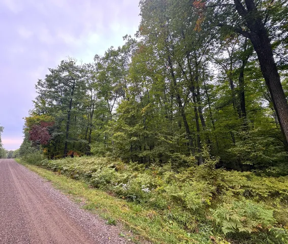 $239,900 | 34-xxx 80ac 34-xxx 80ac 298th Street, Aitkin, MN 56431