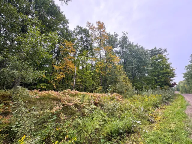 $239,900 | 34-xxx 80ac 34-xxx 80ac 298th Street, Aitkin, MN 56431