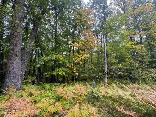 $239,900 | 34-xxx 80ac 34-xxx 80ac 298th Street, Aitkin, MN 56431