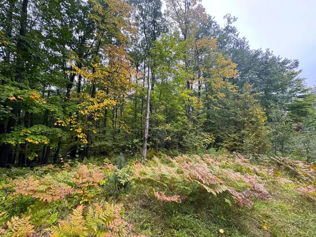 $239,900 | 34-xxx 80ac 34-xxx 80ac 298th Street, Aitkin, MN 56431