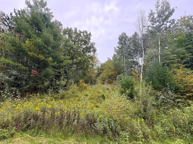 $239,900 | 34-xxx 80ac 34-xxx 80ac 298th Street, Aitkin, MN 56431