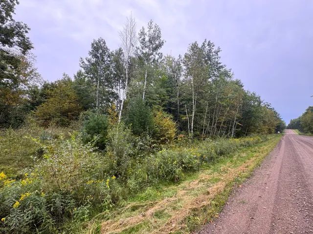 $239,900 | 34-xxx 80ac 34-xxx 80ac 298th Street, Aitkin, MN 56431