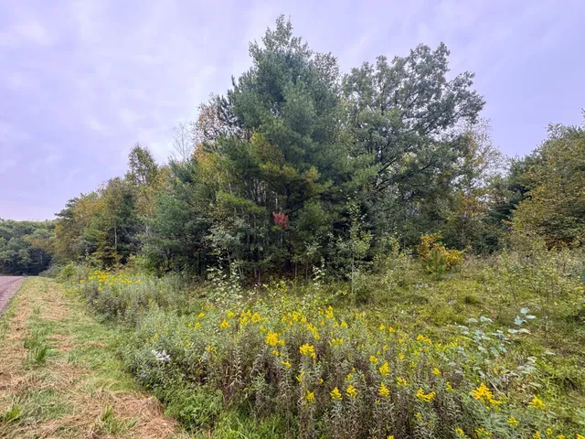 $239,900 | 34-xxx 80ac 34-xxx 80ac 298th Street, Aitkin, MN 56431