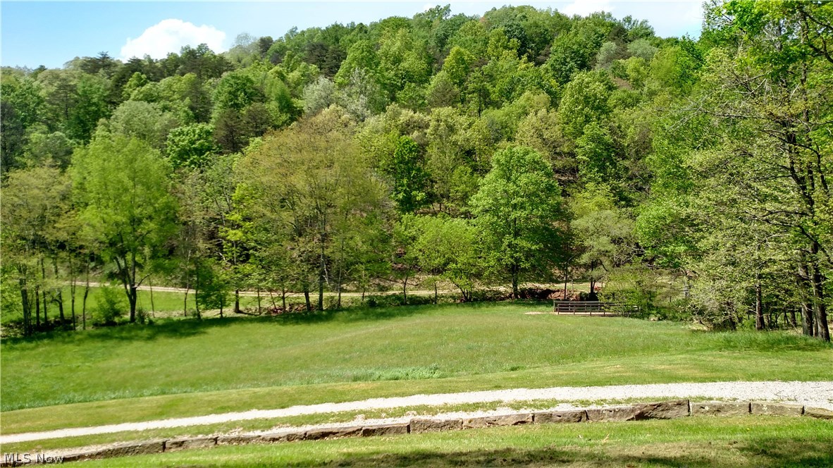 5273 Cairo Road Harrisville, WV 26362 - Photo 3 of 32