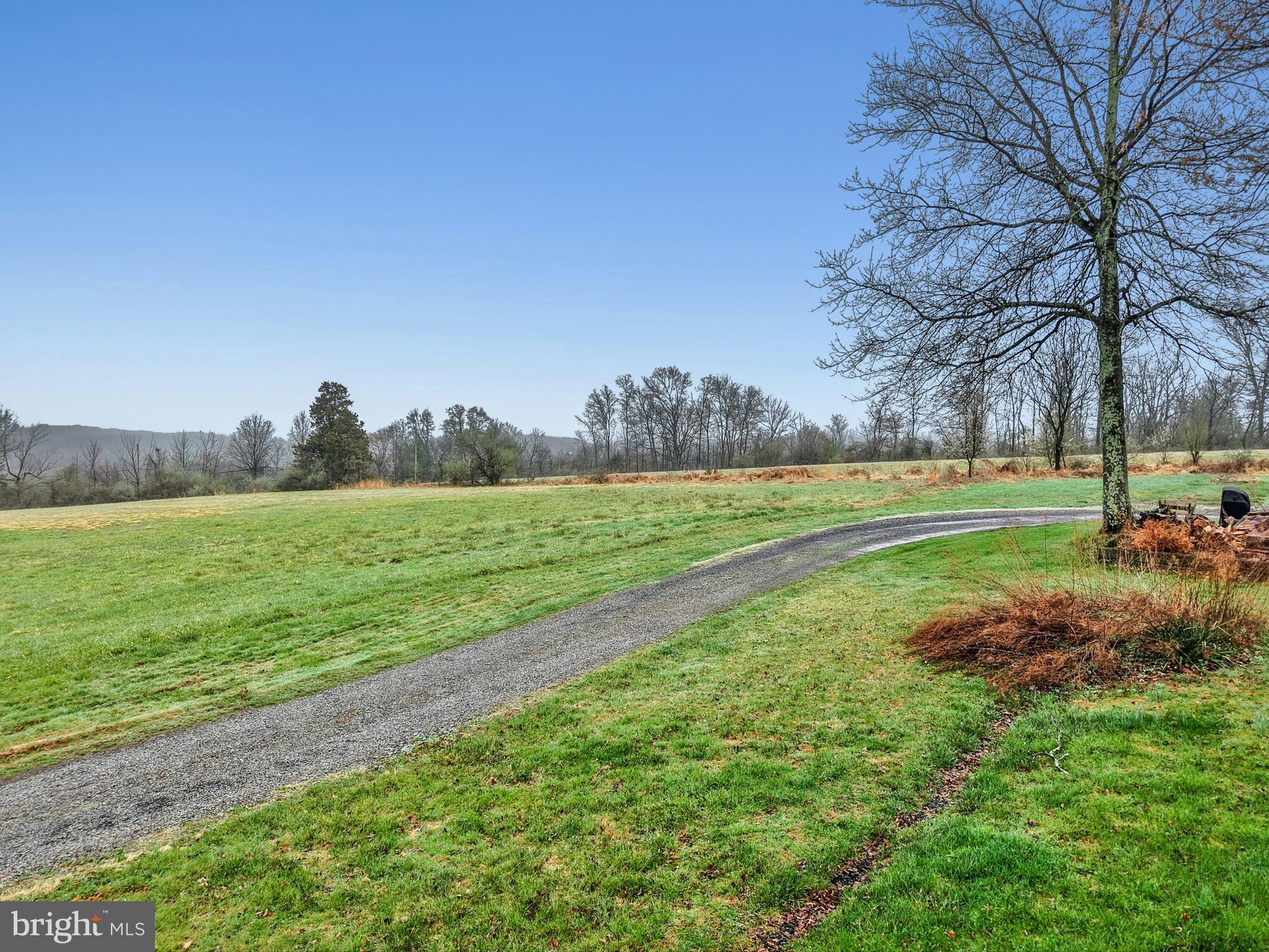 4196 Toll Gate Road New Hope, PA 18938 - Photo 19 of 19 a view of a field with grass and a big yard