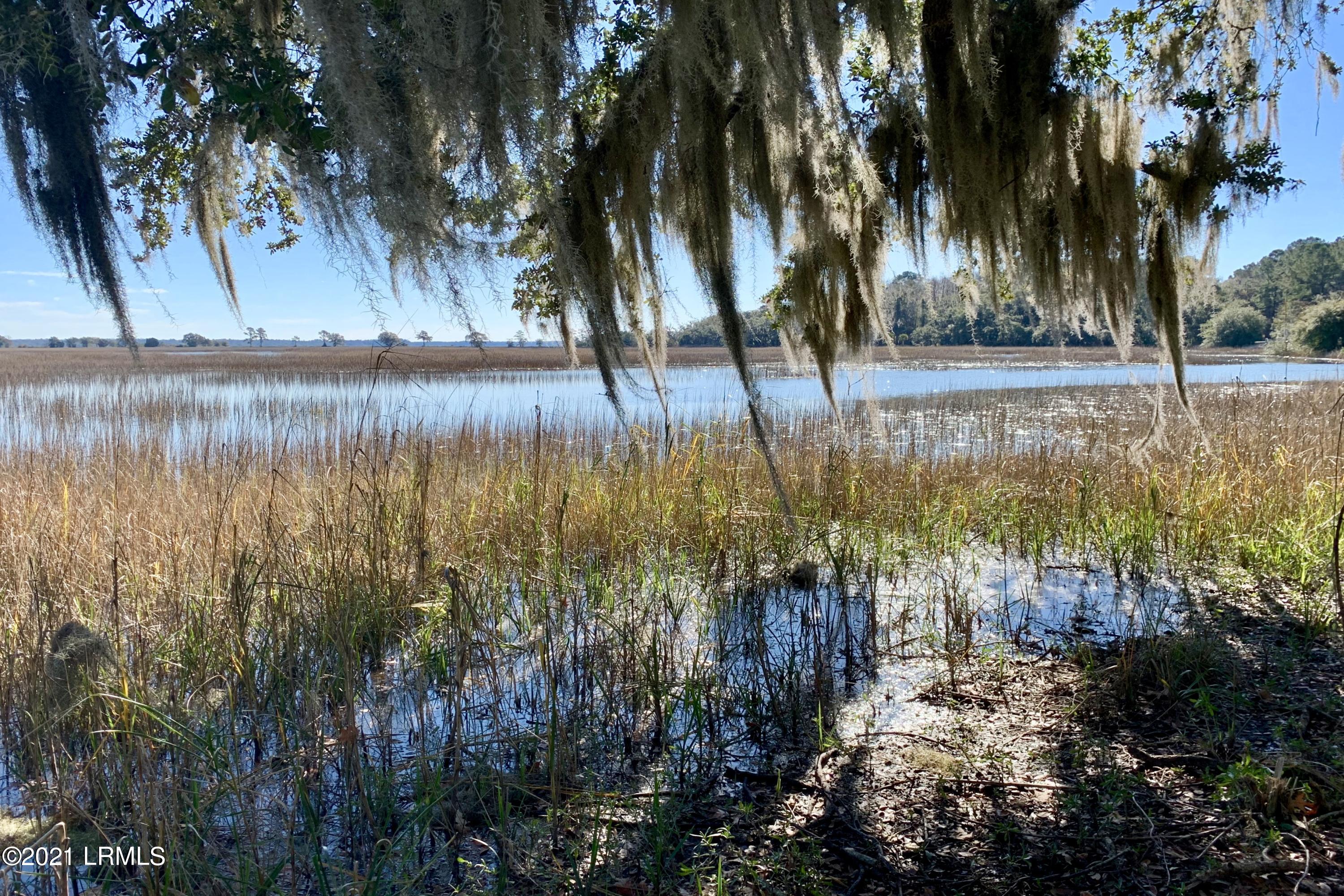 1 A Knowles Island Road Ridgeland, SC 29936 - Photo 1 of 16 fullsizeoutput_3a54