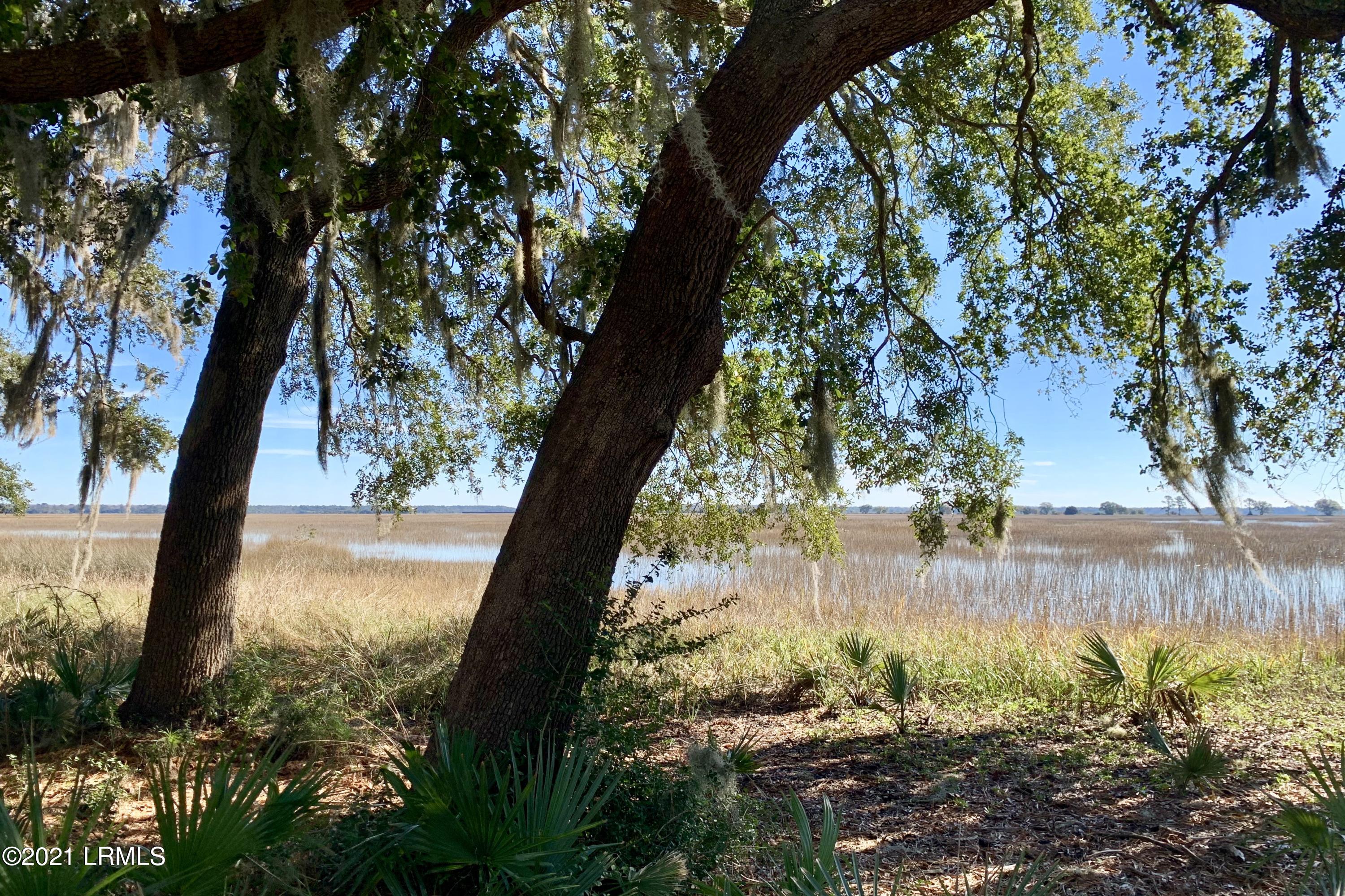 1 A Knowles Island Road Ridgeland, SC 29936 - Photo 6 of 16 fullsizeoutput_3a5e