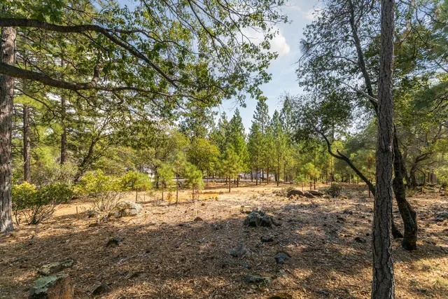 $345,000 | 1621 The Point, Meadow Vista, CA 95722