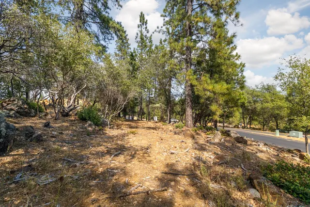 $345,000 | 1621 The Point, Meadow Vista, CA 95722