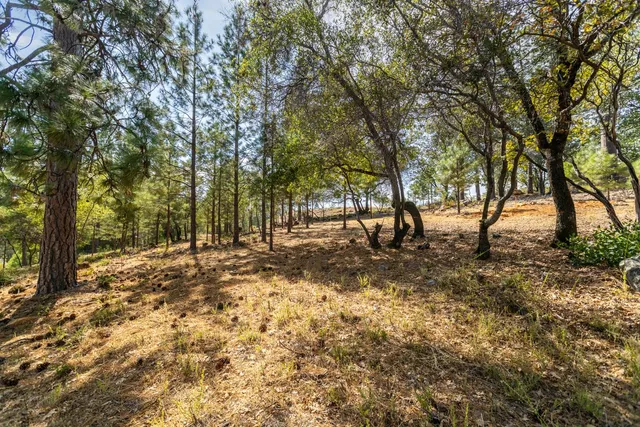 $345,000 | 1621 The Point, Meadow Vista, CA 95722