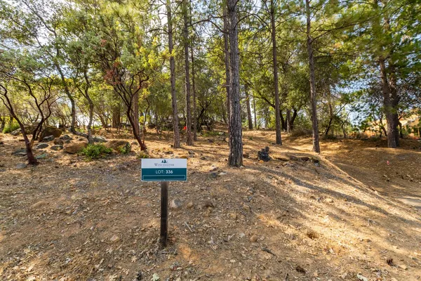 a view of a park with trees