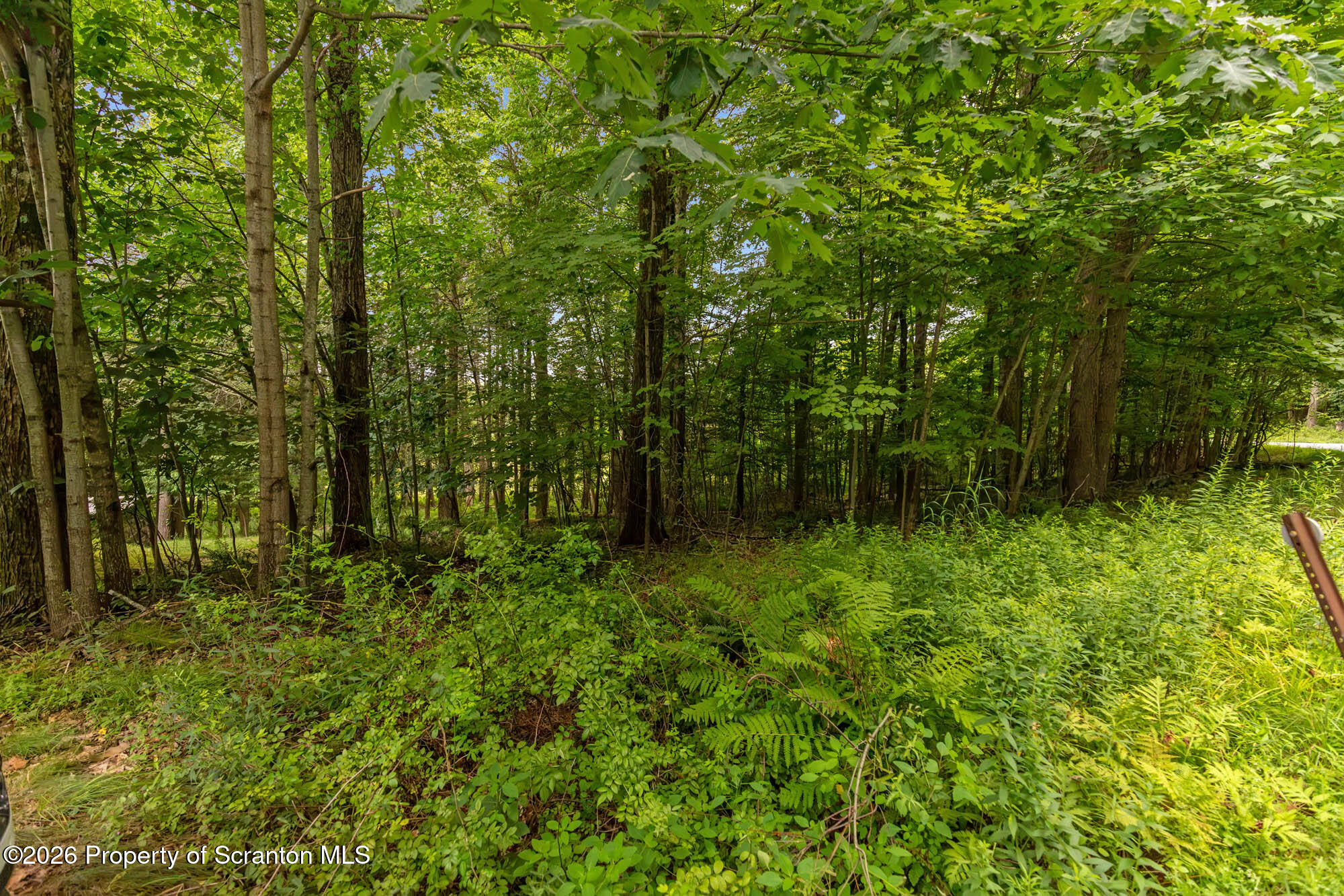 145 Keystone Road Lake Ariel, PA 18436 - Photo 66 of 67 Back yard