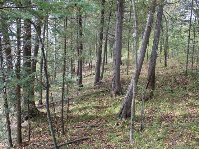 Lot 6 Sunset Point Road Tomahawk, WI 54487 - Photo 9 of 10 Gallery Image 9