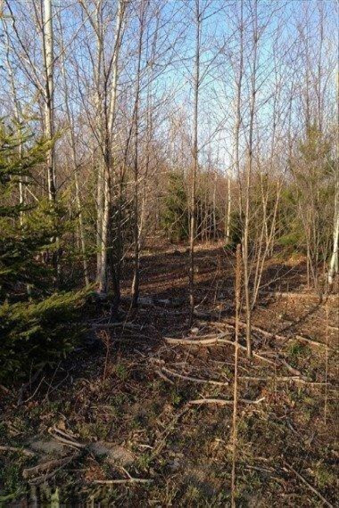 40 North Amble Road Coral, MI 49322 - Photo 7 of 9 Additional Photo
