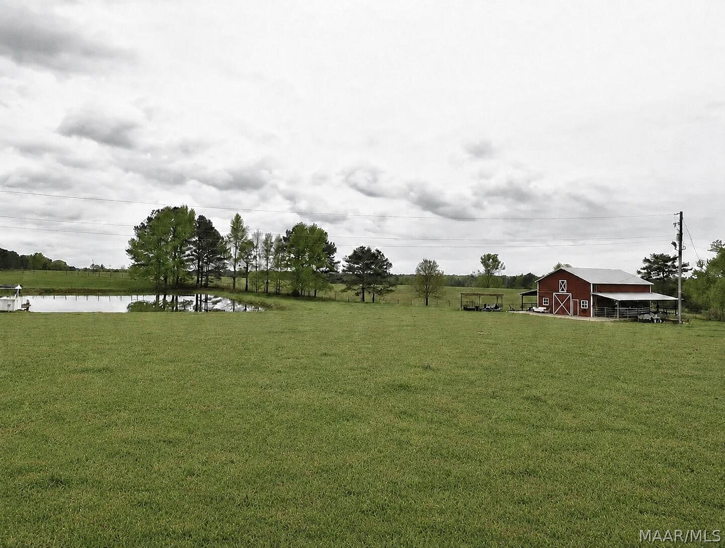 396 Holley Mill Road Eclectic, AL 36024 - Photo 4 of 28 Gallery Image 4