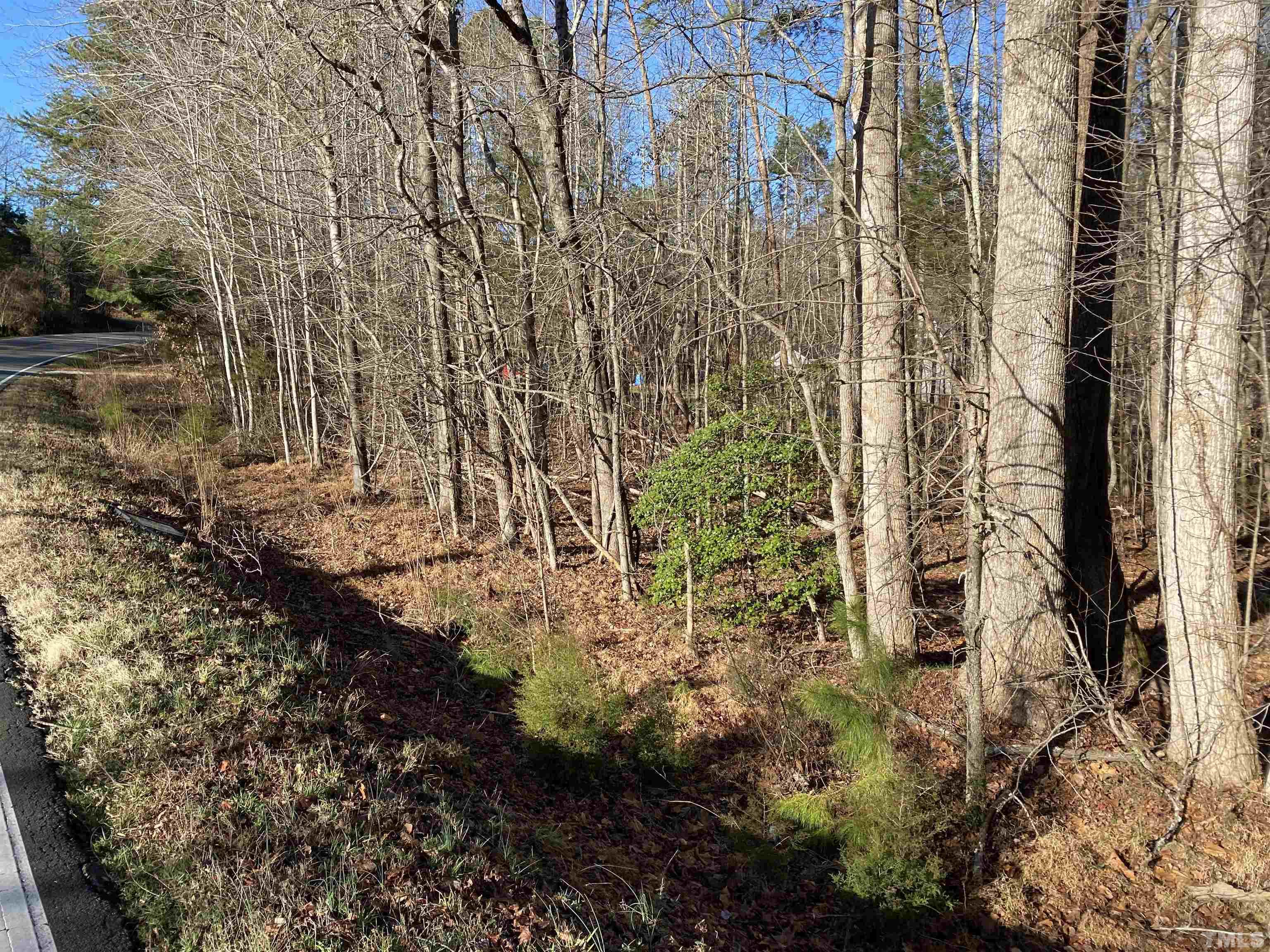 3121 Red Mountain Road Rougemont, NC 27572 - Photo 5 of 8 a view of a yard with plants and trees